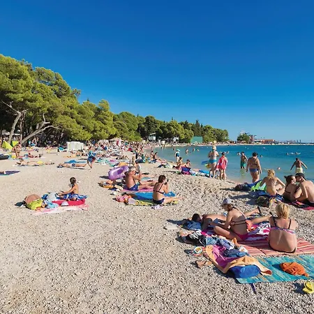 Apartment 1 Bedroom Cozy In